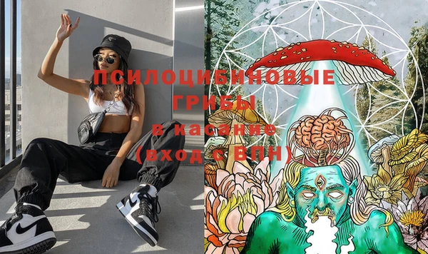 спиды Нея