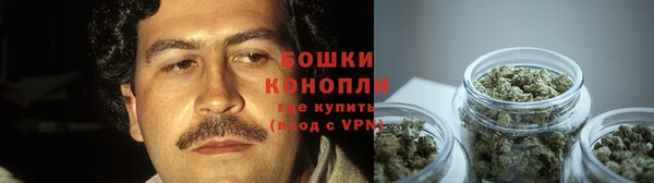 спиды Нея