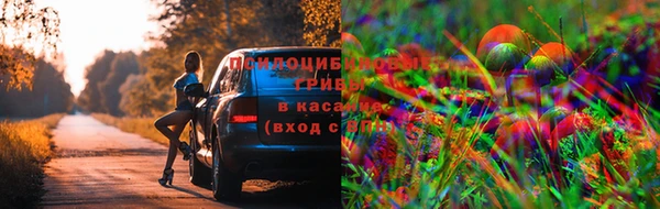 дмт Нефтегорск