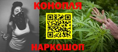 шишки Изобильный