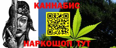 шишки Изобильный