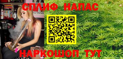 шишки Изобильный