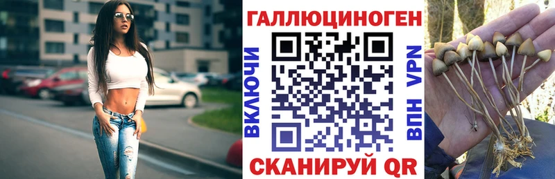 Галлюциногенные грибы MAGIC MUSHROOMS  хочу наркоту  Аксай 