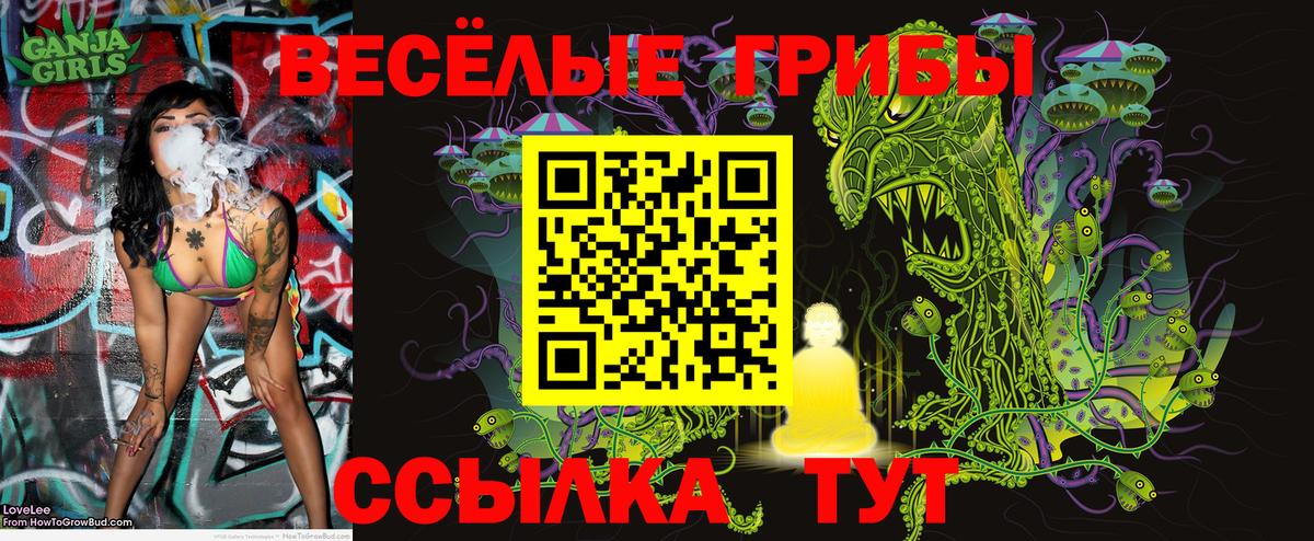 Галлюциногенные грибы MAGIC MUSHROOMS Аксай