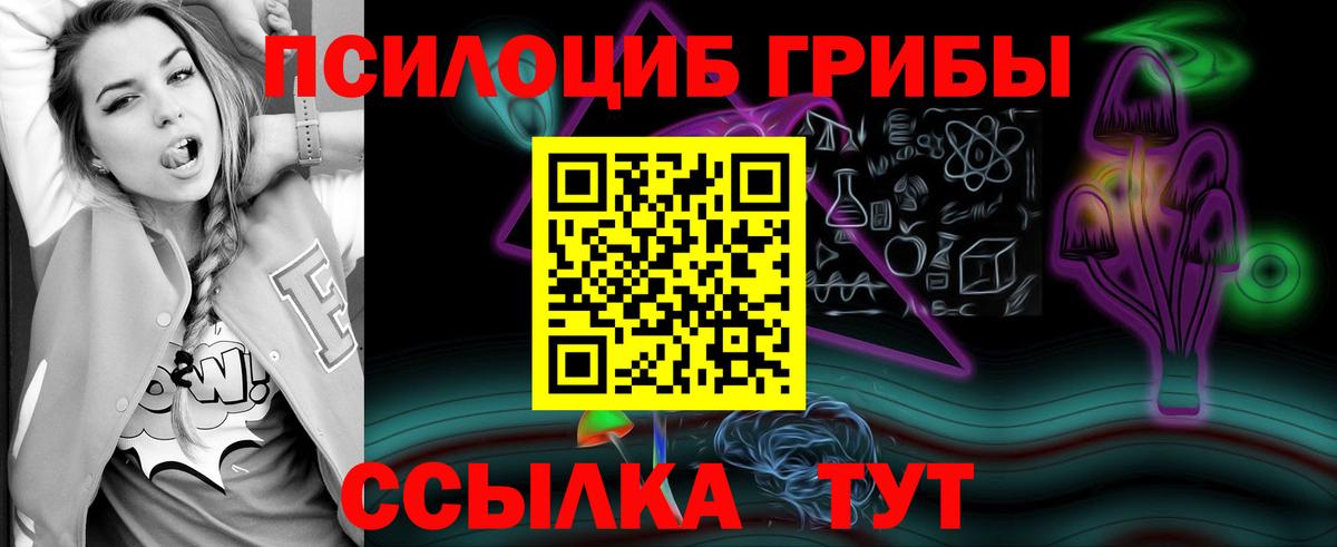 Псилоцибиновые грибы Psilocybe Аксай